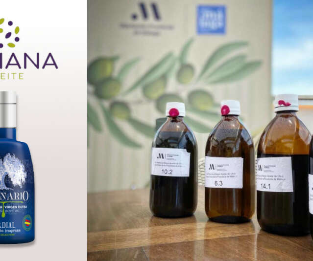 Premio al mejor Aceite de Oliva Virgen Extra frutado maduro de la provincia de Málaga. Premios Sabor a Málaga